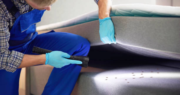 Best Pest Control Near Me  in Miami Springs, FL