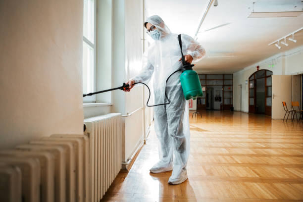 Best Pest Control for Businesses  in Miami Springs, FL